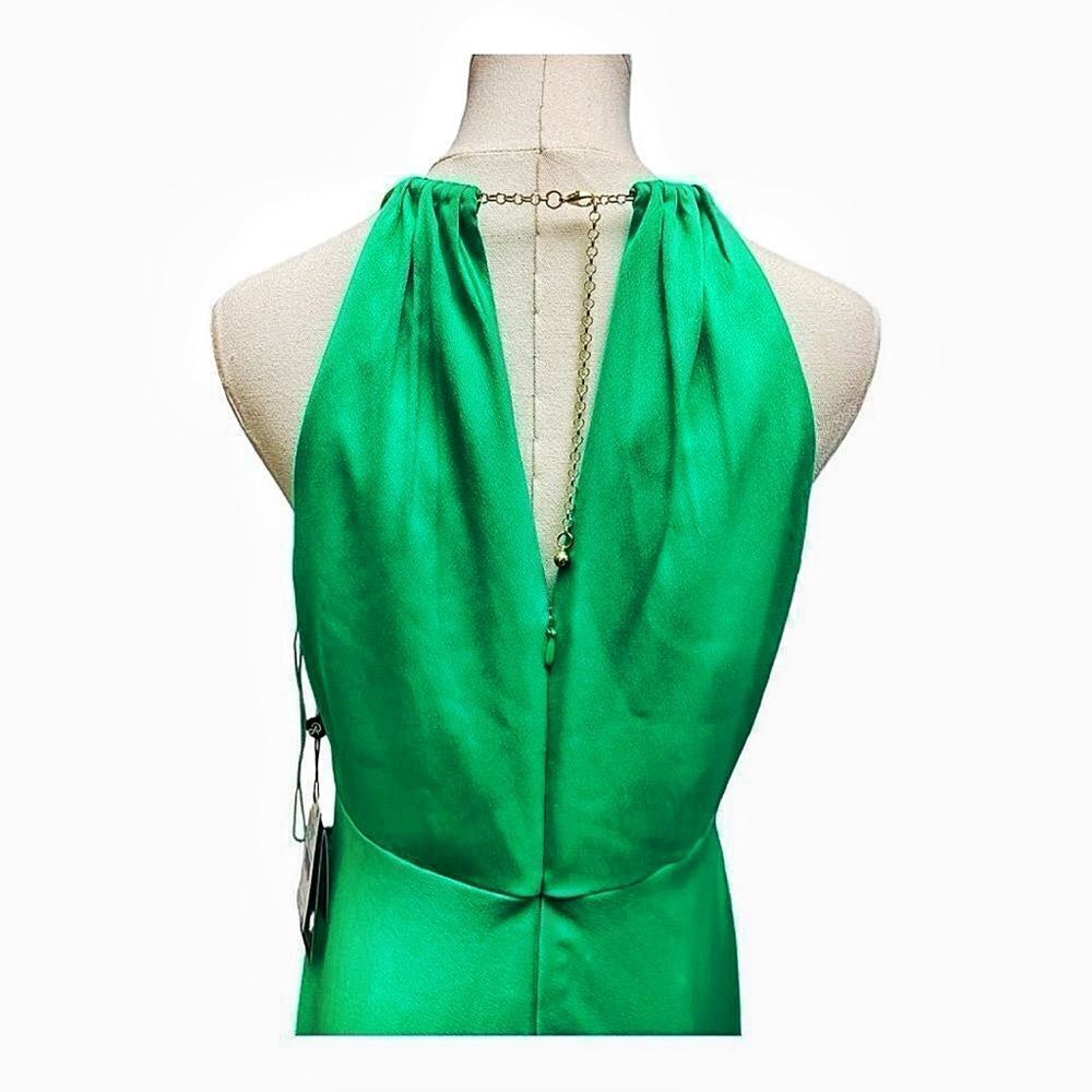 Adrianna Papell Satin With Gold Choker Collar Maxi Dress Gown Size 6 Formal - Picture 4 of 7